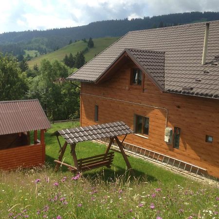 Карпатська Перлина Apartment Iltsi Exterior foto