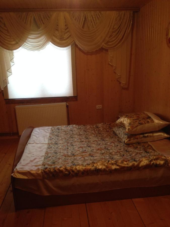Карпатська Перлина Apartment Iltsi Exterior foto